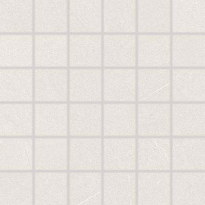 WDM06622 TOPO Mosaic light grey 30x30