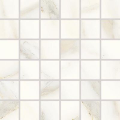 WDM06730 CAVA mosaic white matt 30x30