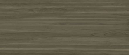 WENGE WIT.MG.PP.NT 278x120