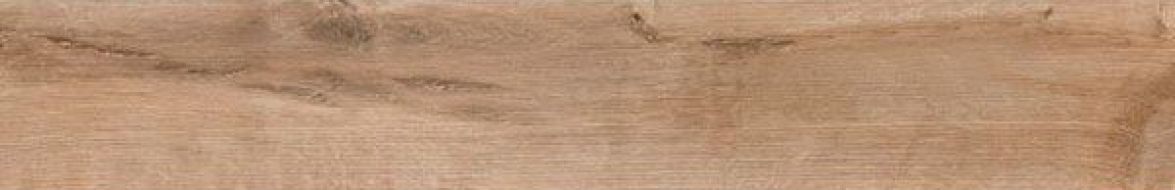 WFE11F42210A Forest Beige 20x120