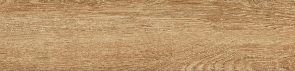 WGJ11F41600A Legenda Beige матовый 15x60