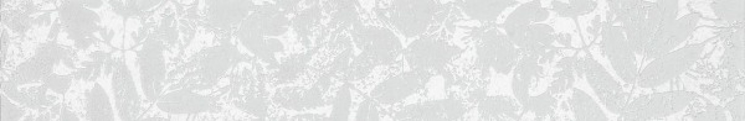 WLAS4568 Garda 9.5x60