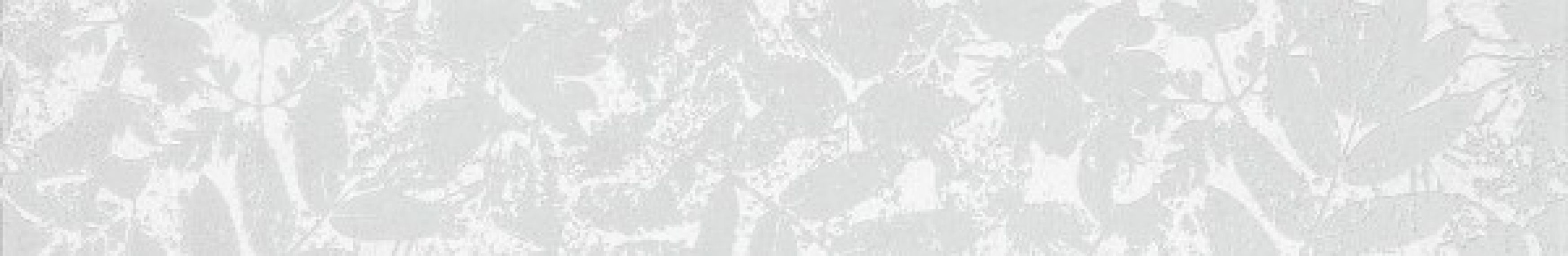WLAS4568 Garda 9.5x60