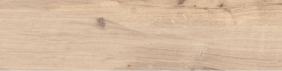 WN4T103 Natural песочный ﻿R10 21,8x89,8