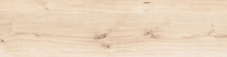 WN4T303 Natural светло-бежевый R10 21,8x89,8