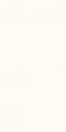WONDERWALL TILES BLANC NATURAL 50x100