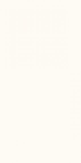 WONDERWALL TILES BLANC NATURAL 50x100