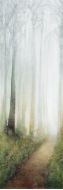 WONDERWALL TILES DREAM B 300x100