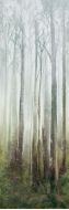 WONDERWALL TILES DREAM C 300x100