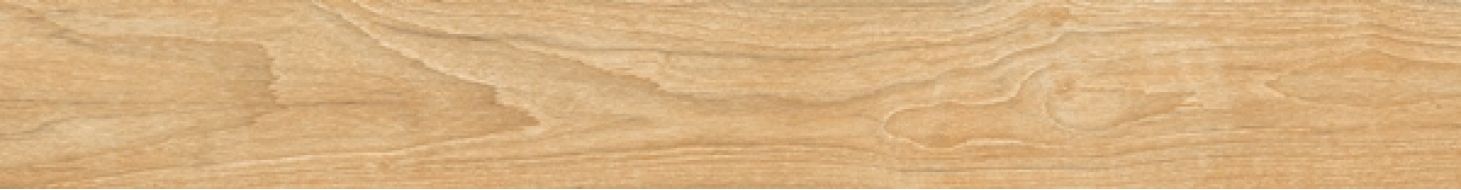 WOODLAND BOREAL 30x240