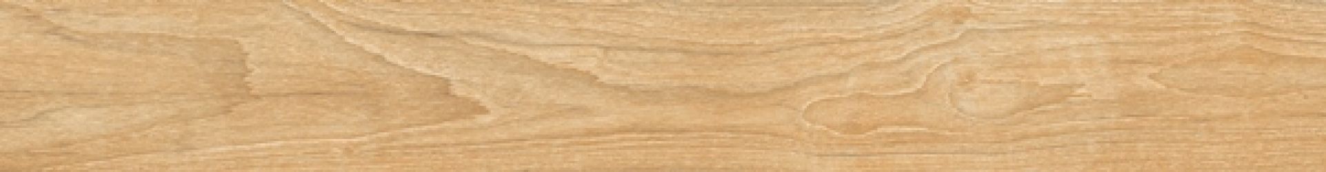 WOODLAND BOREAL 30x240