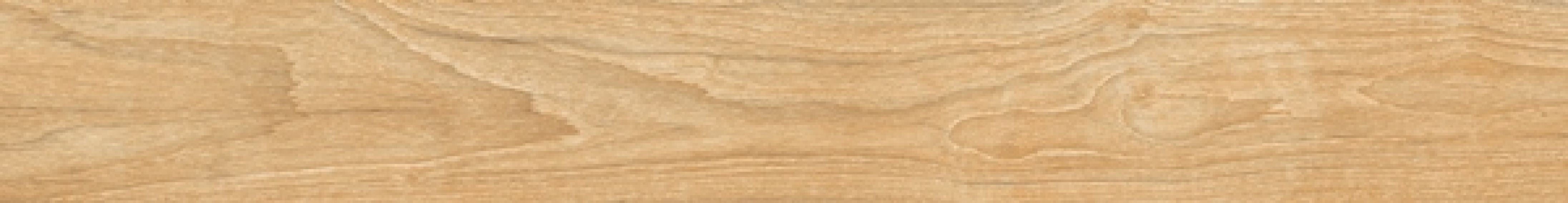 WOODLAND BOREAL 30x240