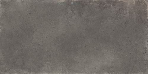 WT36ELR25 Плитка Elbrus Graphite 300x600x9