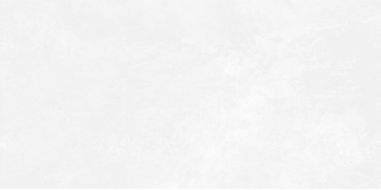 WT9ANR00 Плитка Antre White 24.9х50