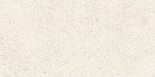 WT9ATW11 Плитка Artwork Beige 249*500*85
