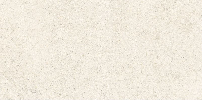 WT9ATW11 Плитка Artwork Beige 249*500*85