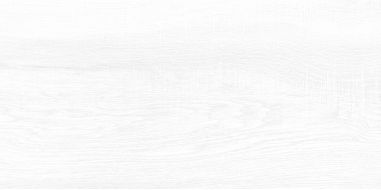WT9BRE00 Плитка Briole White 249*500*7.5