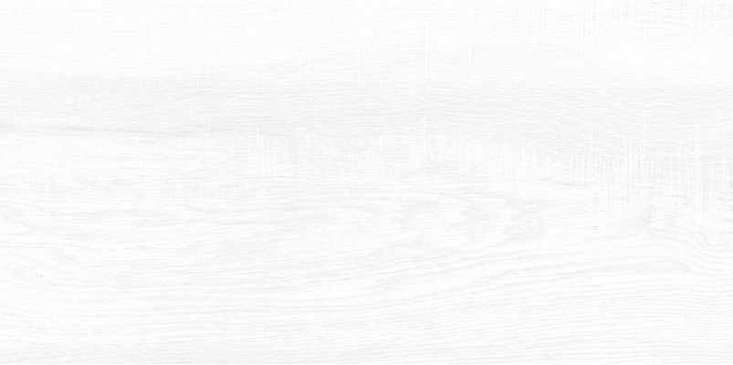 WT9BRE00 Плитка Briole White 249*500*7.5