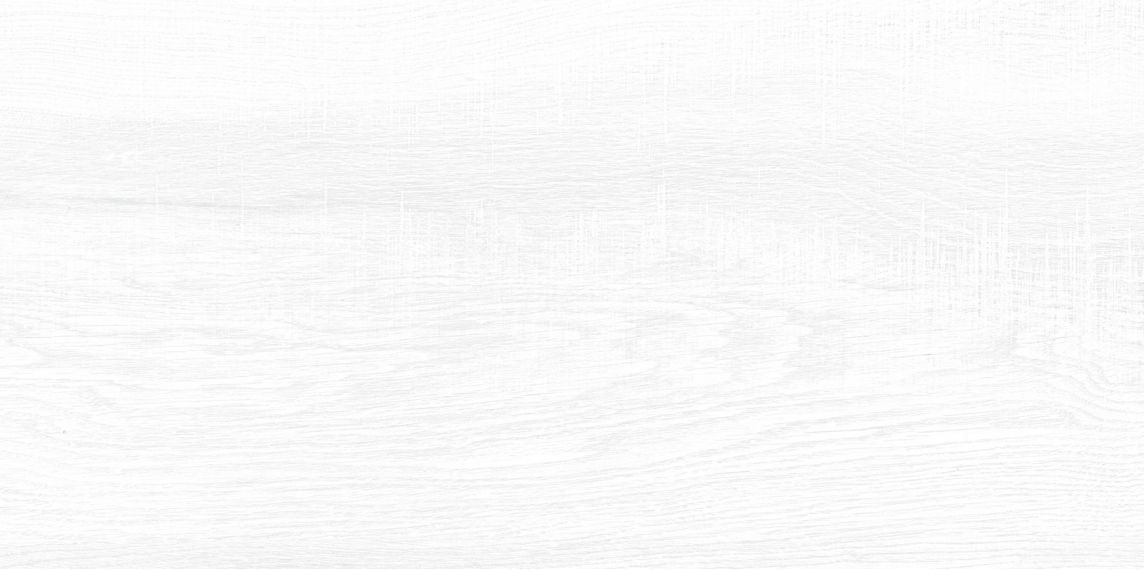 WT9BRE00 Плитка Briole White 249*500*7.5