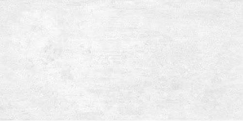 WT9BTN00 Плитка Beton Gray 24.9х50
