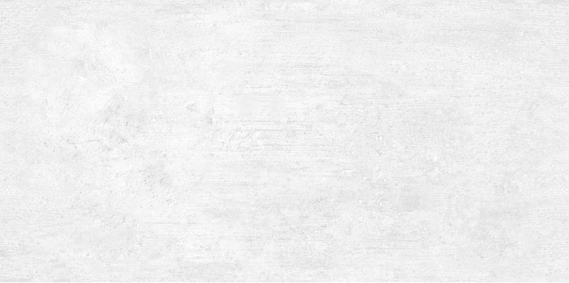 WT9BTN00 Плитка Beton Gray 24.9х50
