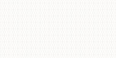 WT9ELZ00 Плитка Eleganza White 249*500 *7.5