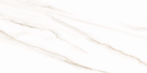 WT9ESR00 Плитка Esprit Calacatta 250*500*9