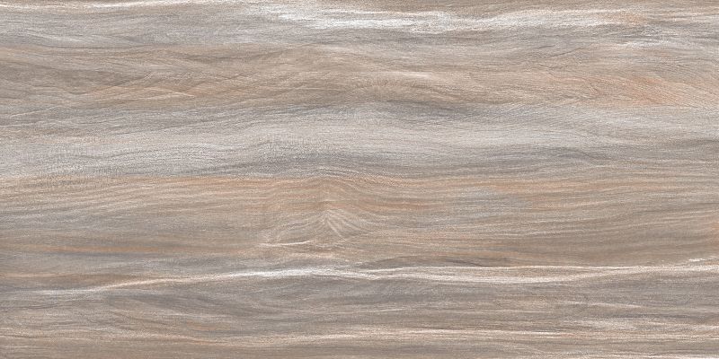 WT9ESR21 Плитка Esprit Wood 250*500*9