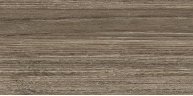 WT9ESS08 Плитка Essense Brown 249*500*85