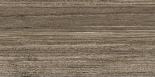 WT9ESS08 Плитка Essense Brown 249*500*85