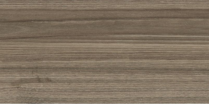 WT9ESS08 Плитка Essense Brown 249*500*85