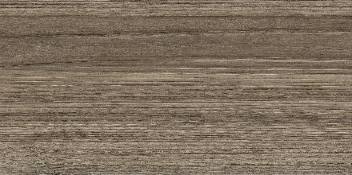 WT9ESS08 Плитка Essense Brown 249*500*85