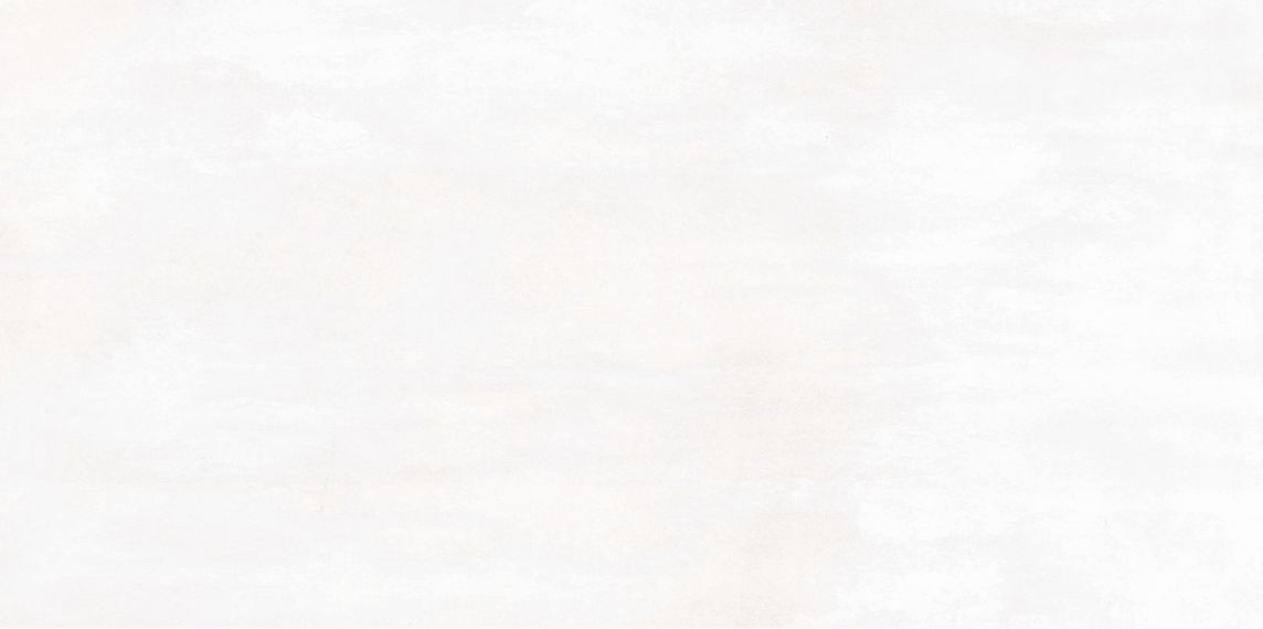 WT9GAR00 Плитка Garret White 249*500*85