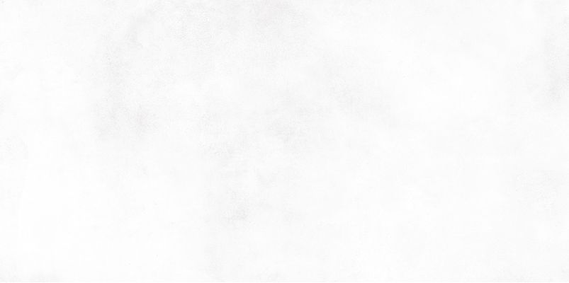 WT9KON00 Плитка Konor White 249*500*7.5