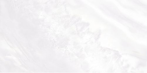 WT9PAL00 Плитка Palmira light 249*500*8,5