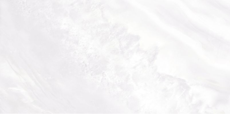 WT9PAL00 Плитка Palmira light 249*500*8,5