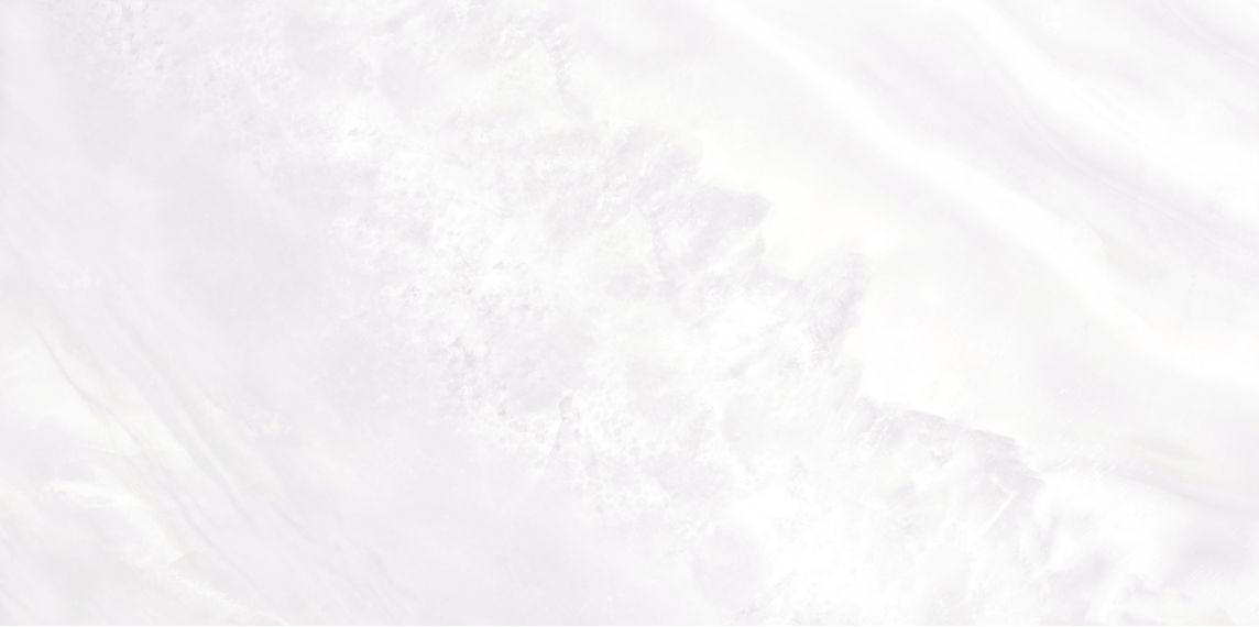WT9PAL00 Плитка Palmira light 249*500*8,5