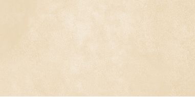 WT9PET11 Плитка Petra Beige 24.9х50