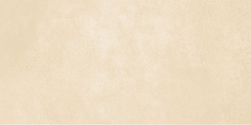 WT9PET11 Плитка Petra Beige 24.9х50