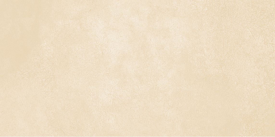 WT9PET11 Плитка Petra Beige 24.9х50