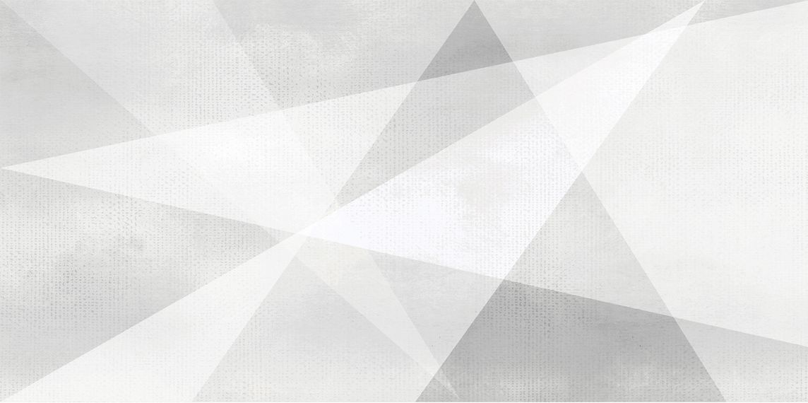 WT9SHG00 Плитка Shape Geometric White 24.9х50