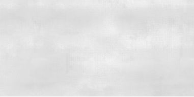 WT9SHP00 Плитка Shape White 24.9х50