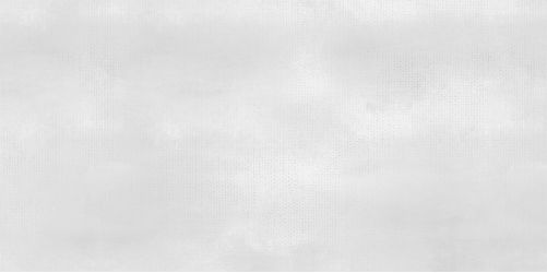 WT9SHP00 Плитка Shape White 24.9х50