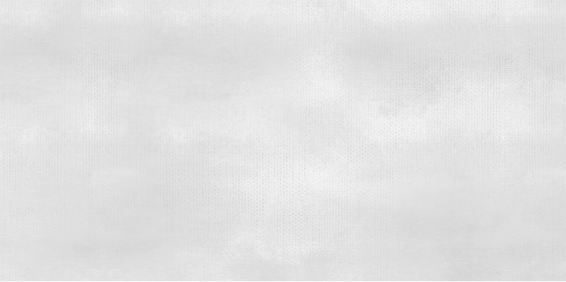 WT9SHP00 Плитка Shape White 24.9х50