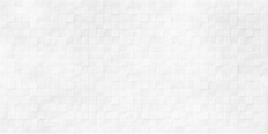 WT9SOS00 Плитка Santos White 249*500*8,5