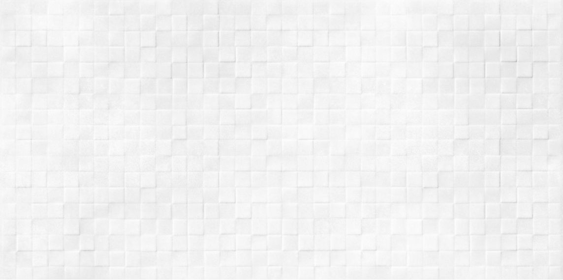 WT9SOS00 Плитка Santos White 249*500*8,5