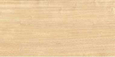 WT9TRI08 Плитка Triangle Wood 249*500*7.5