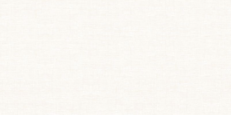WT9VEO01 Плитка Veronica Crema 249*500*7.5
