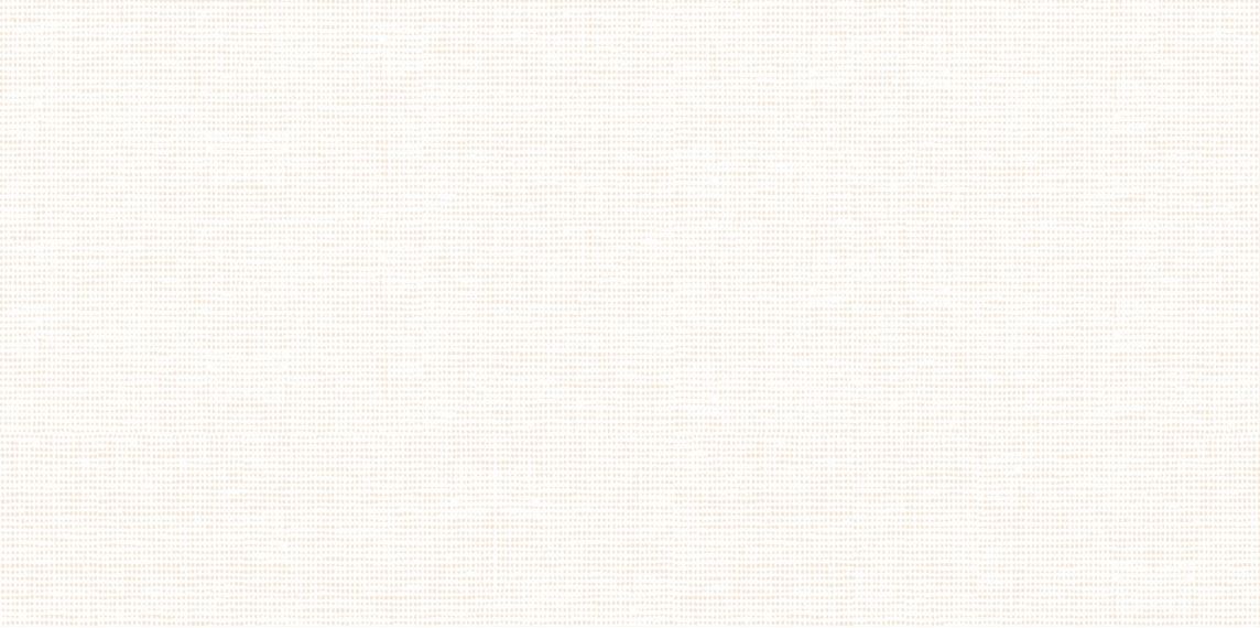 WT9VEO01 Плитка Veronica Crema 249*500*7.5