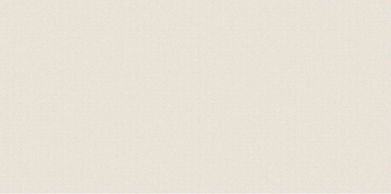 WT9VEO11 Плитка Veronica Beige 249*500*7.5